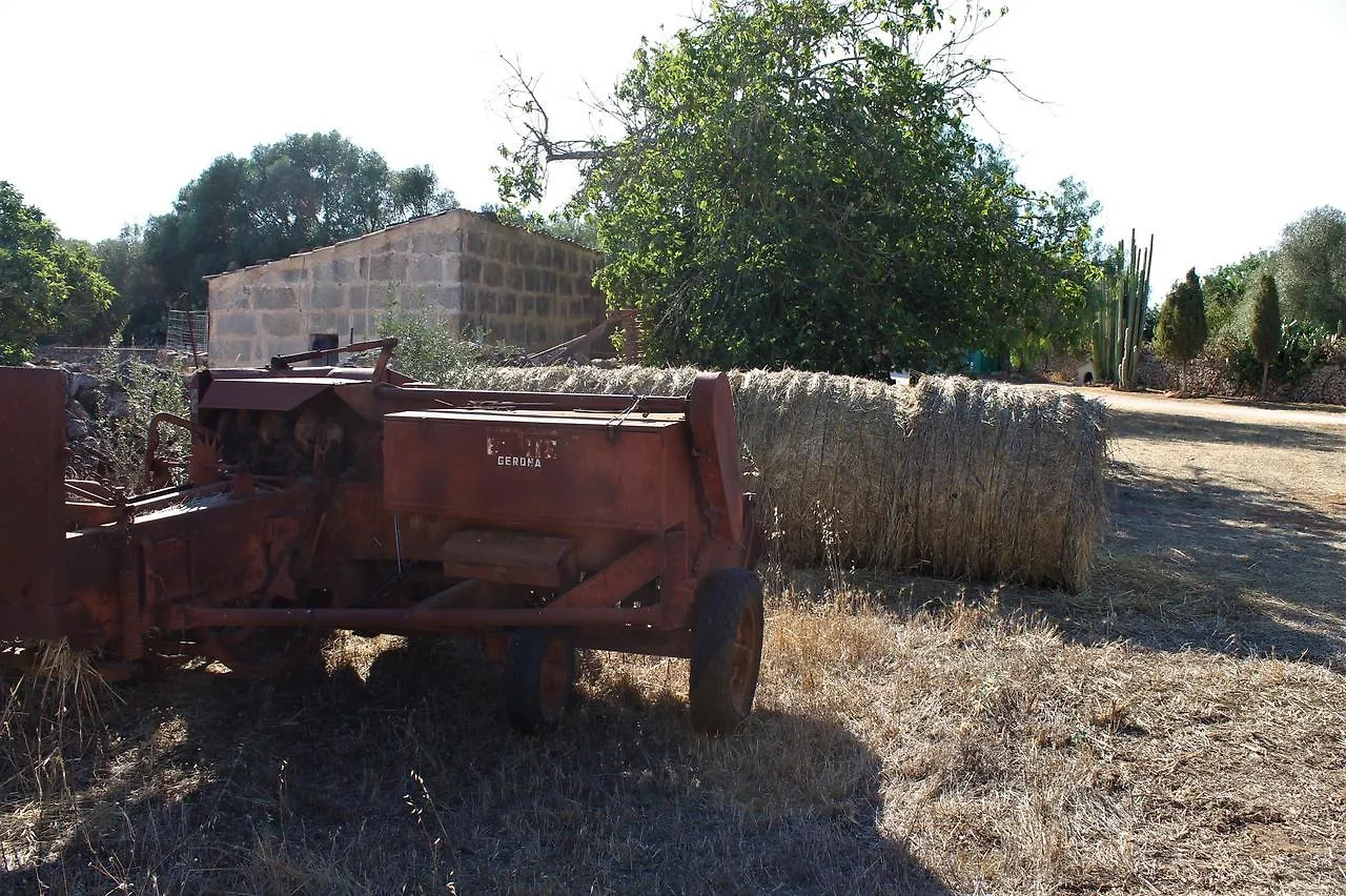 Agroturismo Finca Son Pieras Affittacamere Llucmajor  Spagna