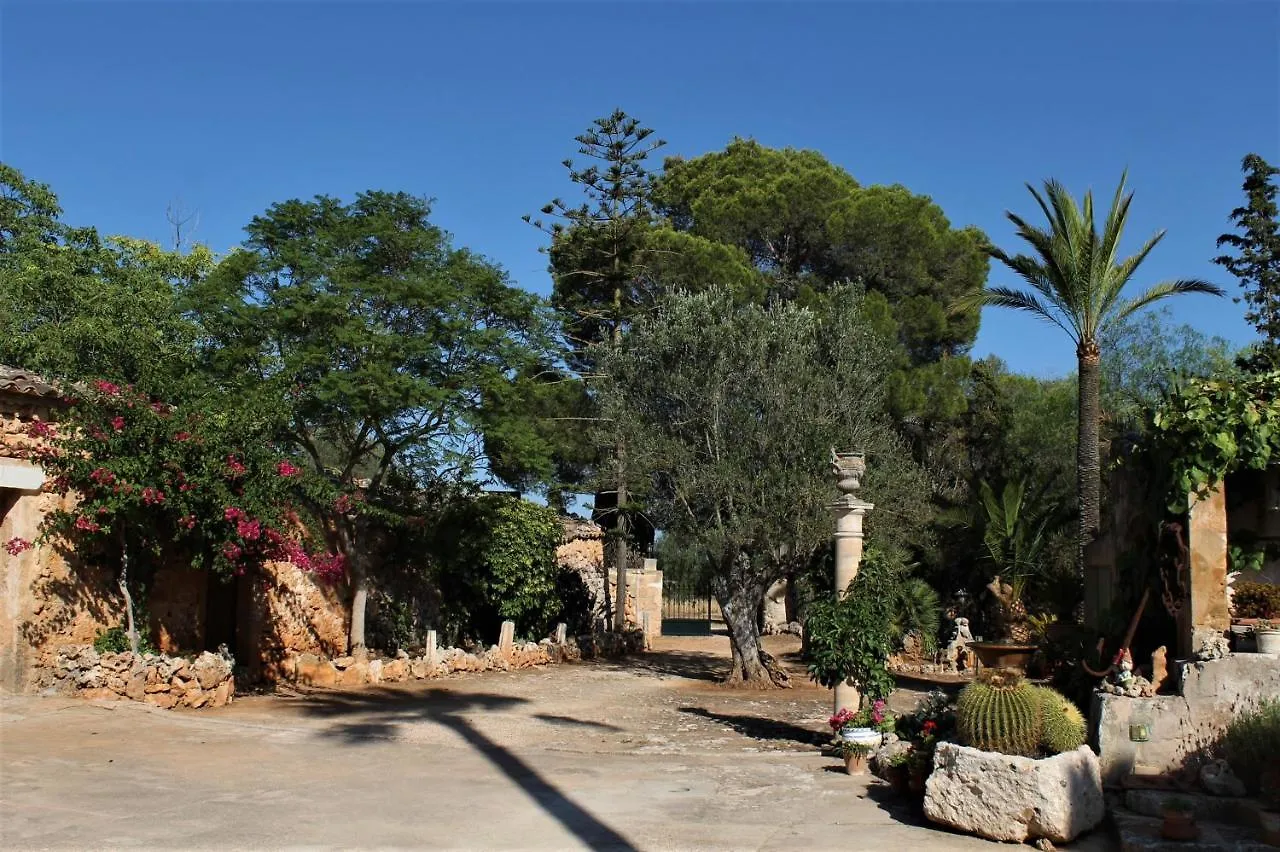 Agroturismo Finca Son Pieras Affittacamere Llucmajor  Casa di campagna Llucmajor (Mallorca)