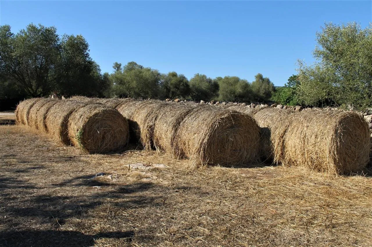 Agroturismo Finca Son Pieras Affittacamere Llucmajor