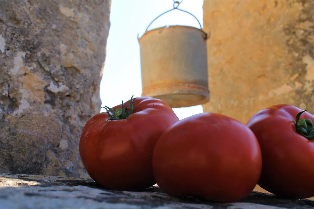 Agroturismo Finca Son Pieras Casa de hóspedes Llucmajor  Casa de Campo Llucmajor (Mallorca)